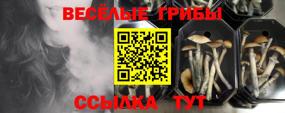 закладки  Вход с VPN  Серпухов  Галлюциногенные грибы ЛСД 